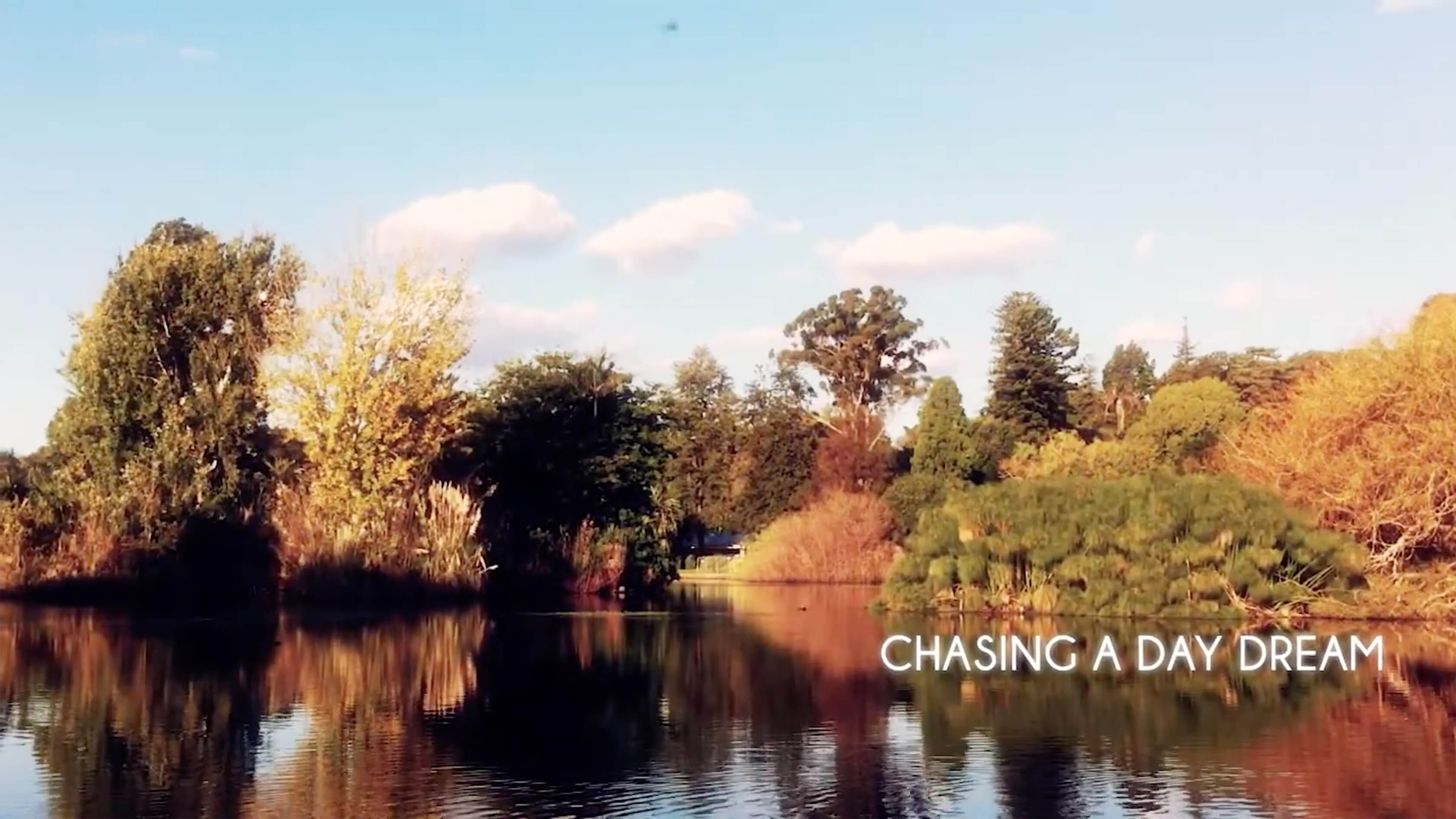 Chasing a Daydream