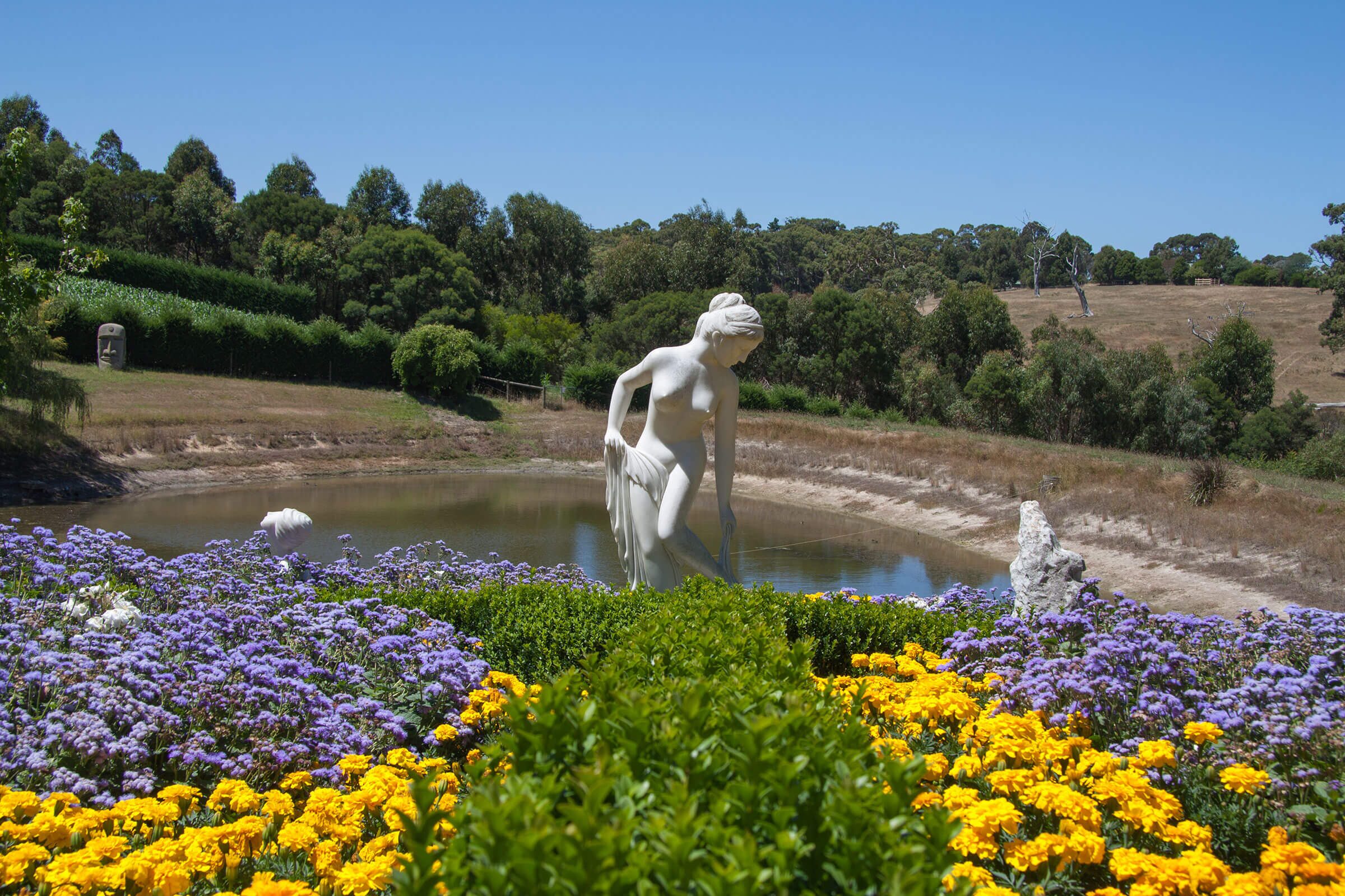 Enchanted Garden
