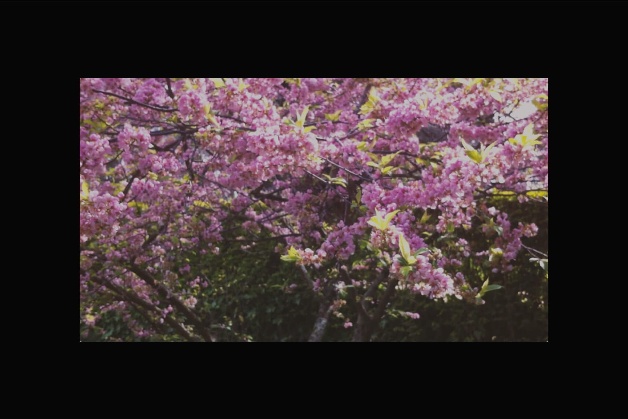 Moments - III