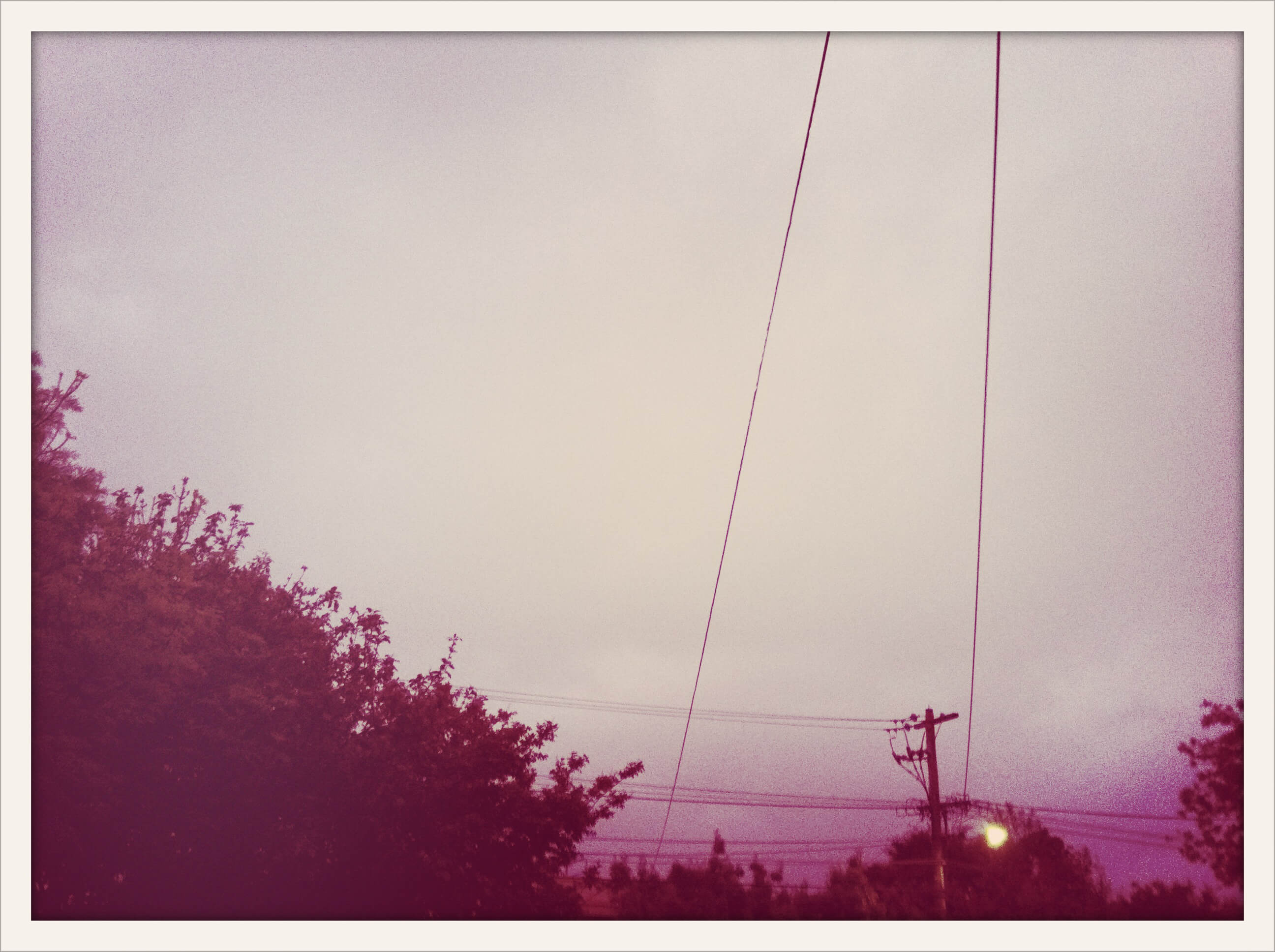 Cross Process VIII