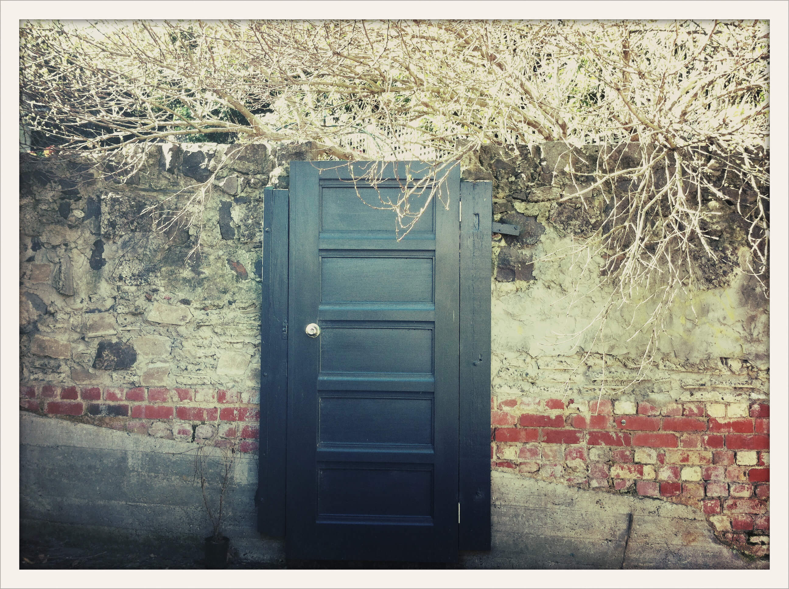 Cross Process IX