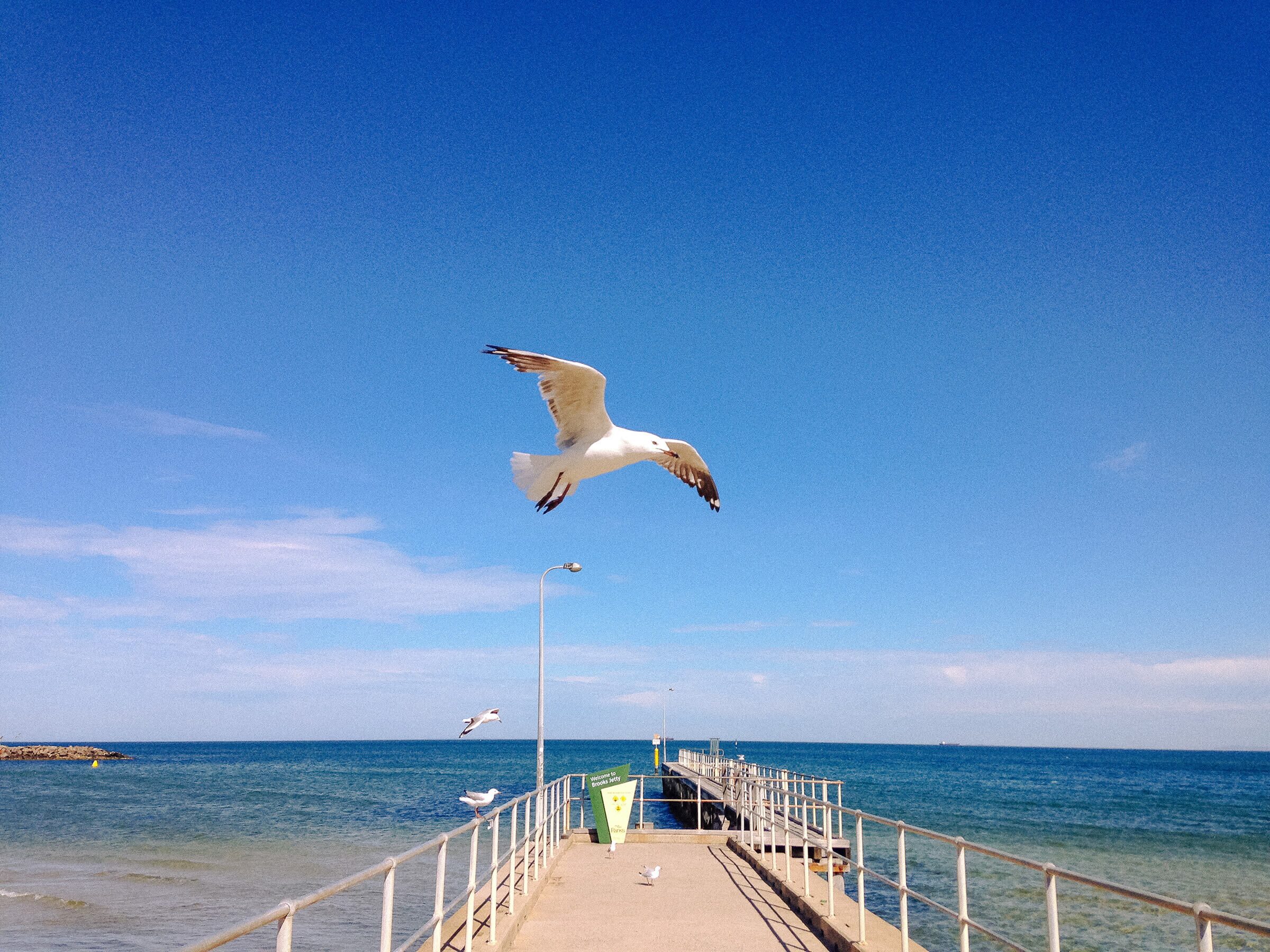Sea Walk
