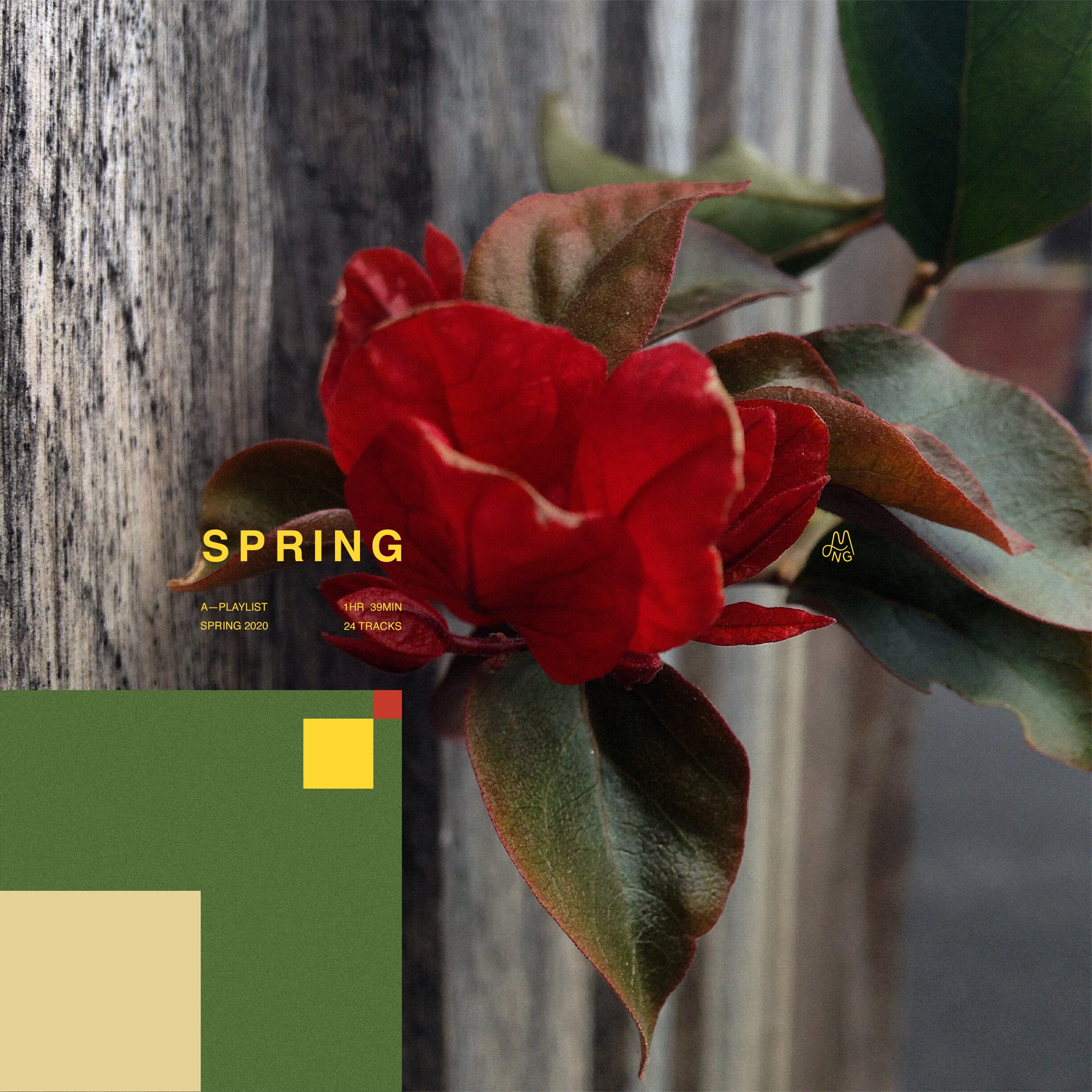 Spring Playlist