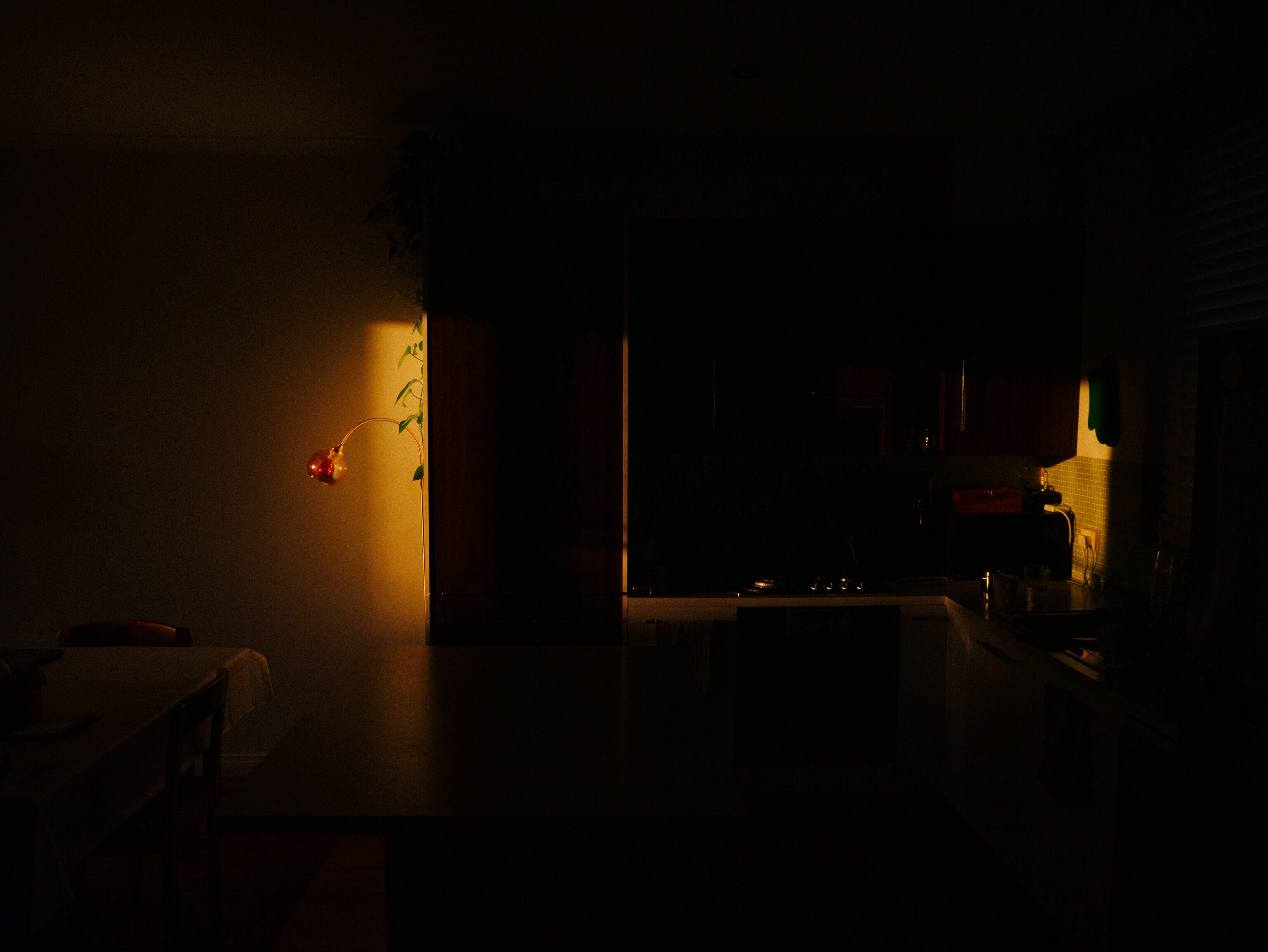 Morning Light